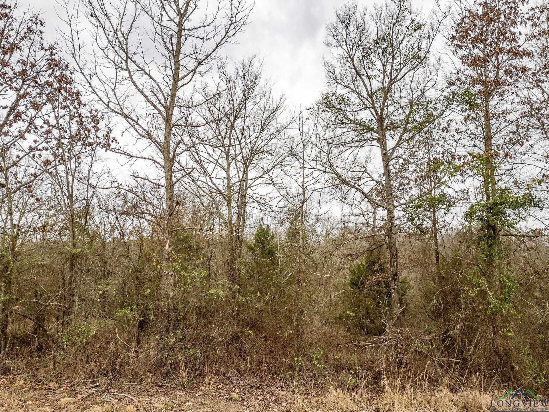 20 acres in Texas County - photo 5