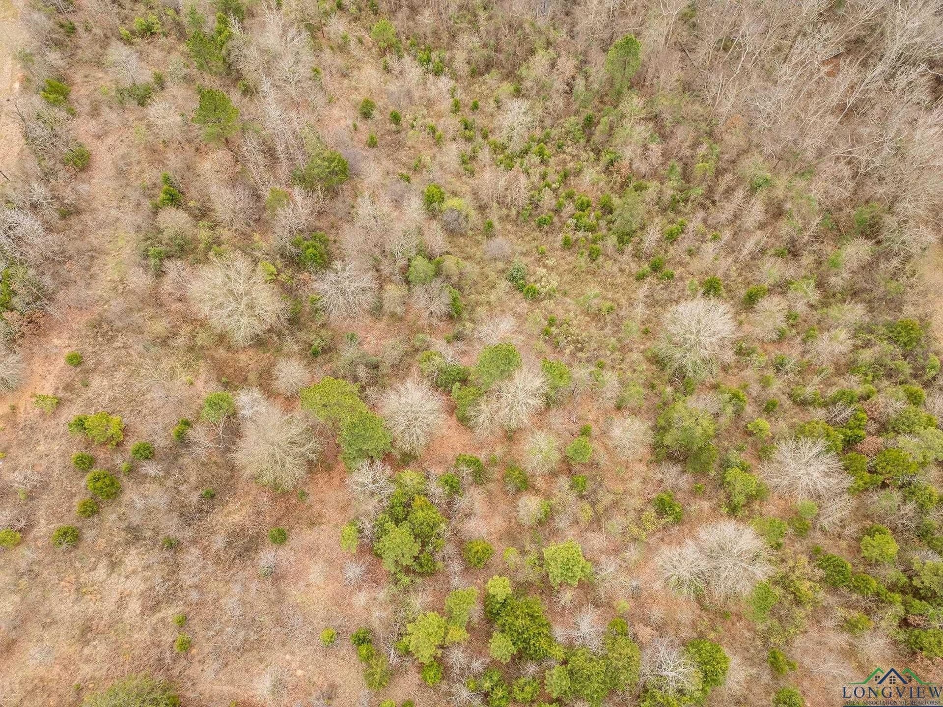 20 acres in Texas County - photo 3