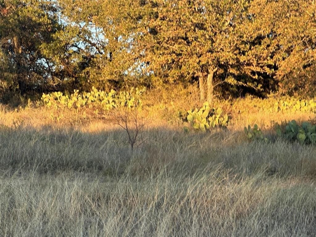 25 acres in Erath County - photo 5