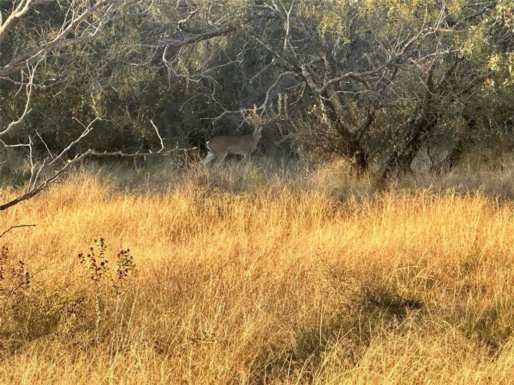 25 acres in Erath County - photo 2