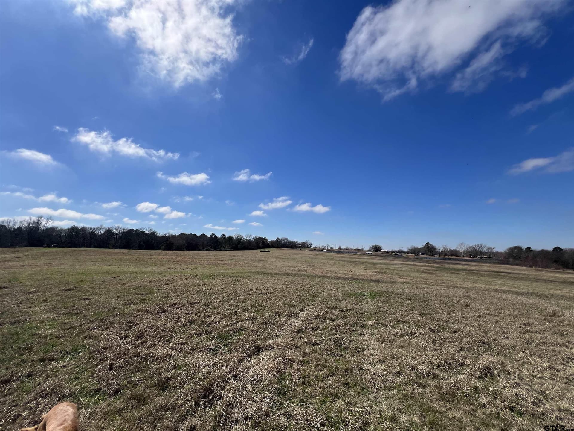 58.77 acres in Morris County - photo 12