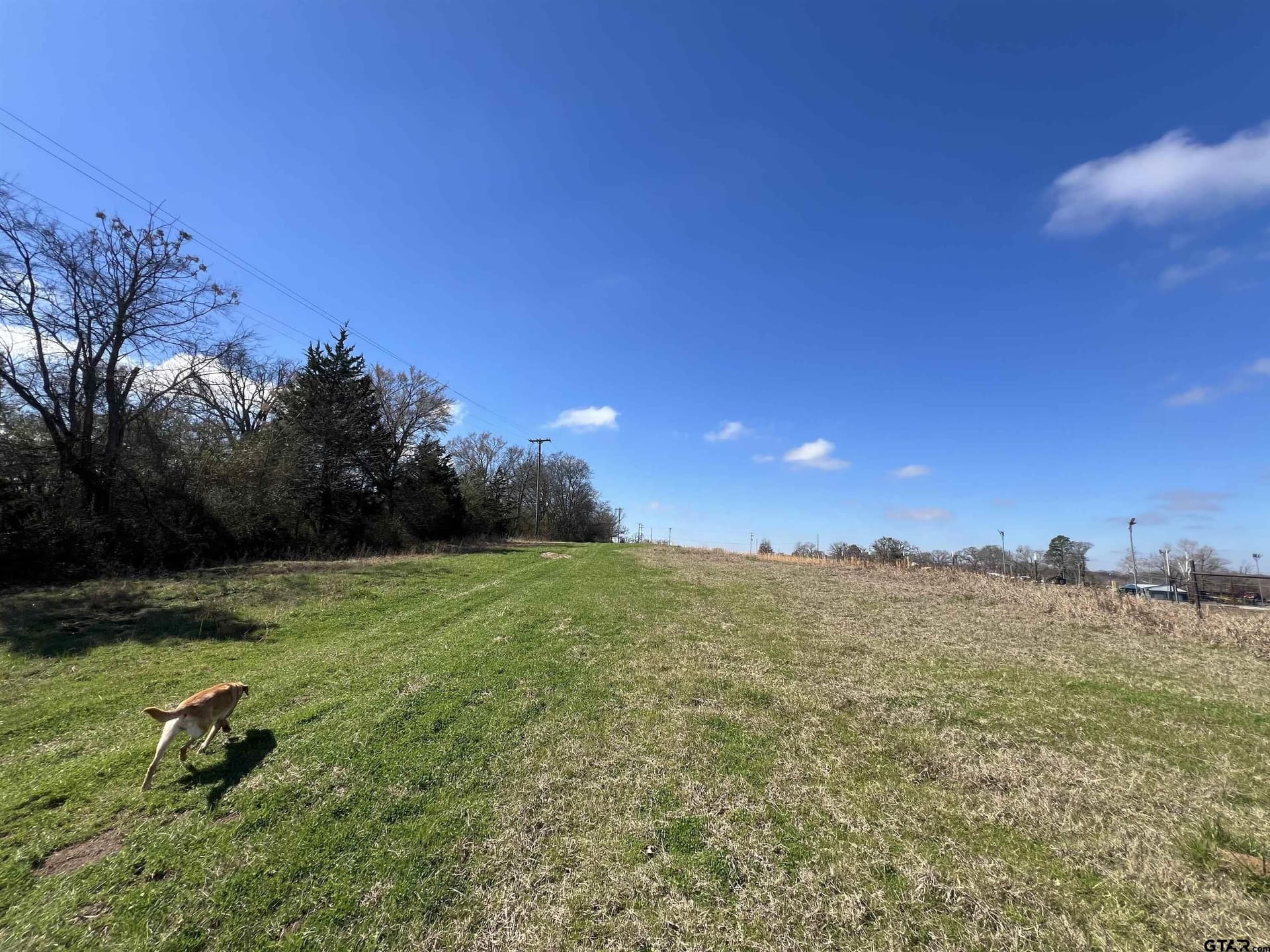 58.77 acres in Morris County - photo 7