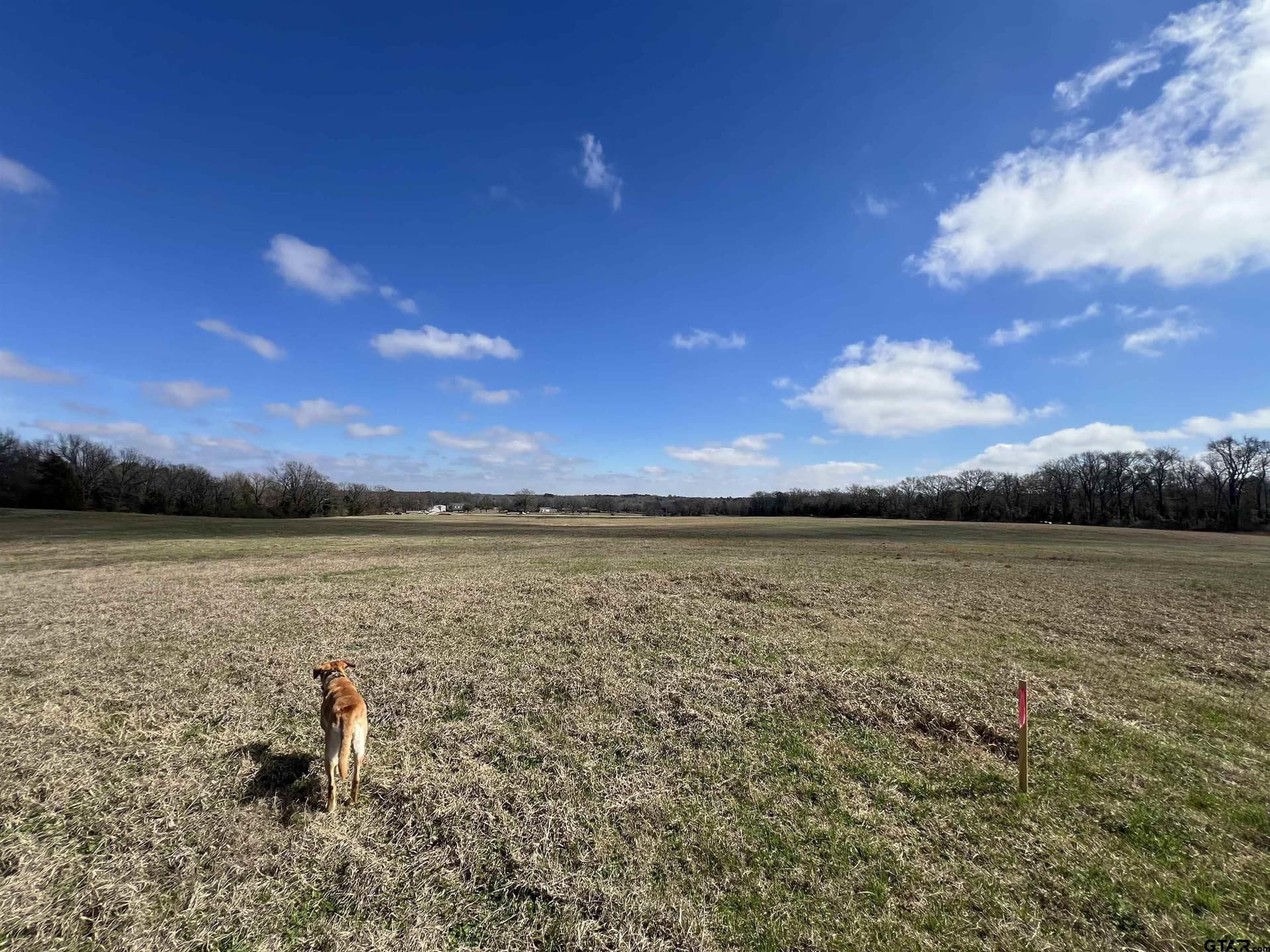 58.77 acres in Morris County - photo 10