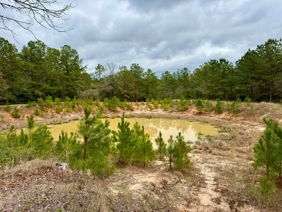 14.96 acres in Texas County - photo 26