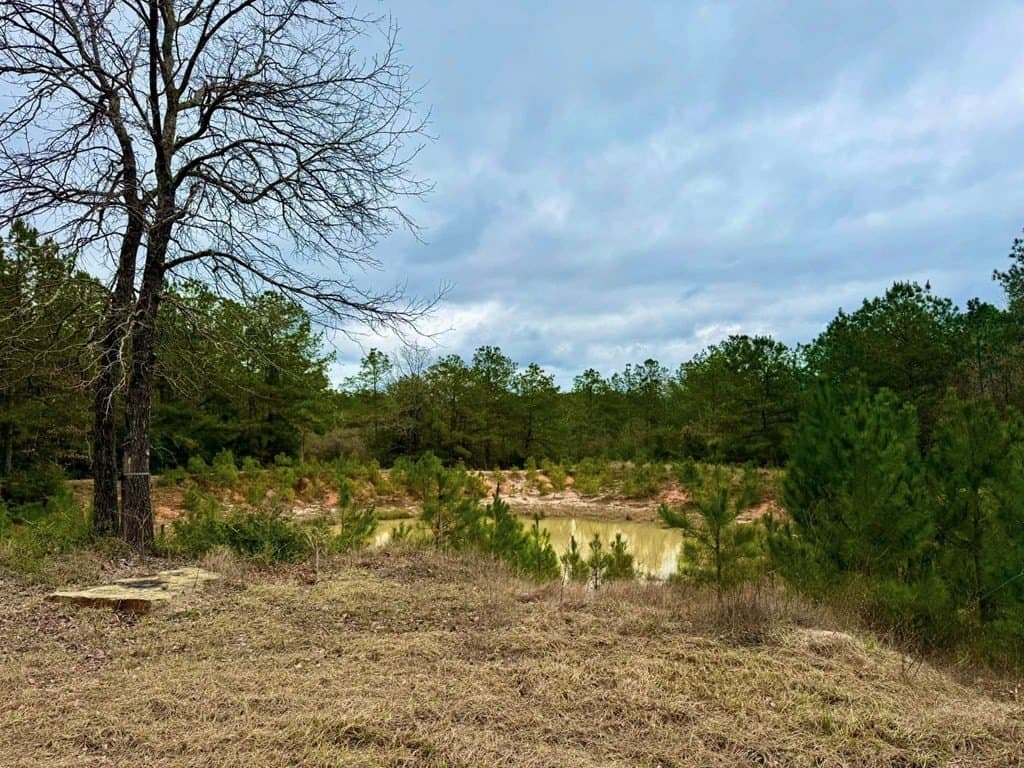 14.96 acres in Texas County - photo 17