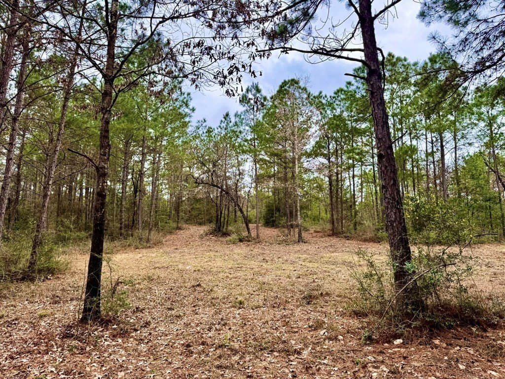 14.96 acres in Texas County - photo 37
