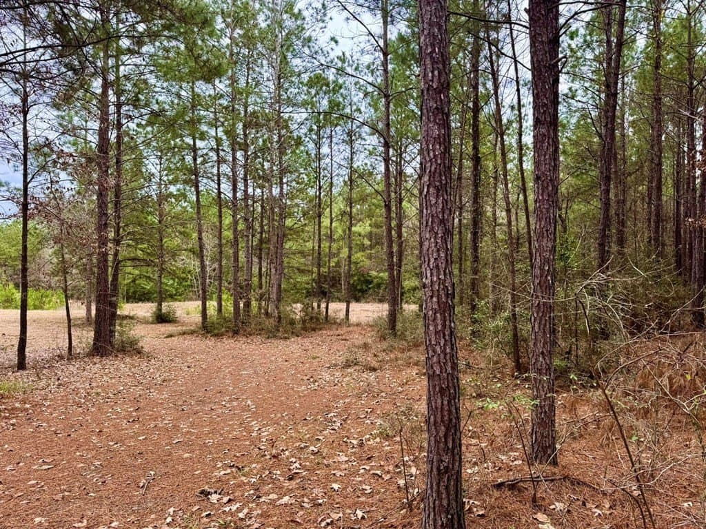 14.96 acres in Texas County - photo 27