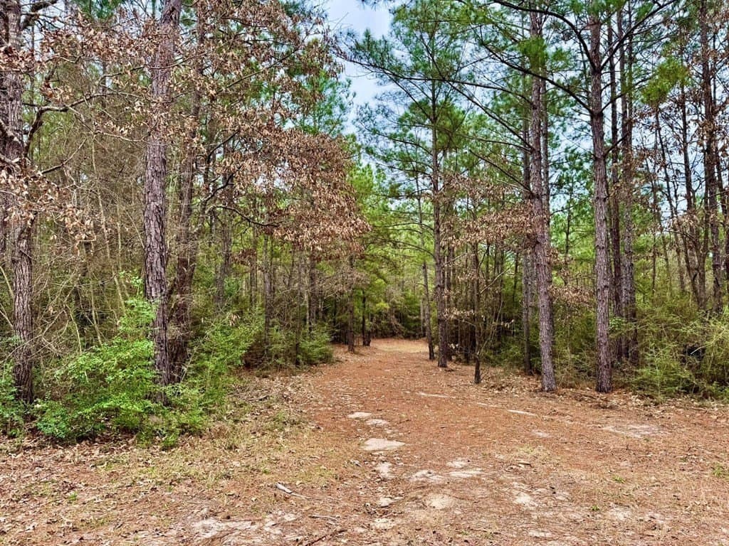 14.96 acres in Texas County - photo 39