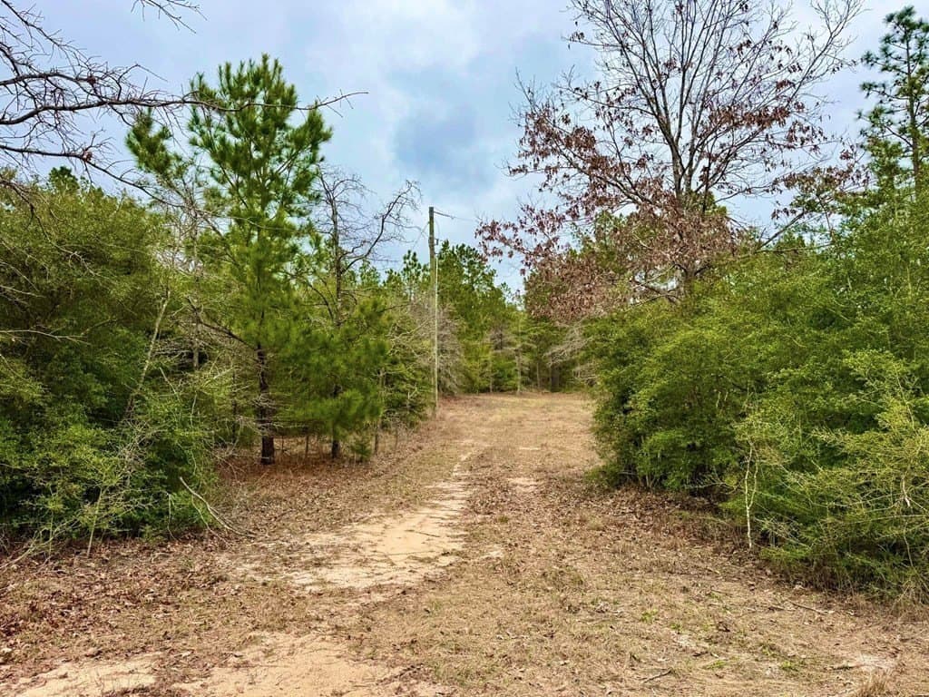 14.96 acres in Texas County - photo 19