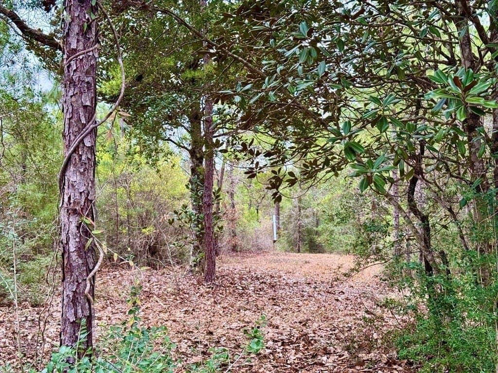 14.96 acres in Texas County - photo 33