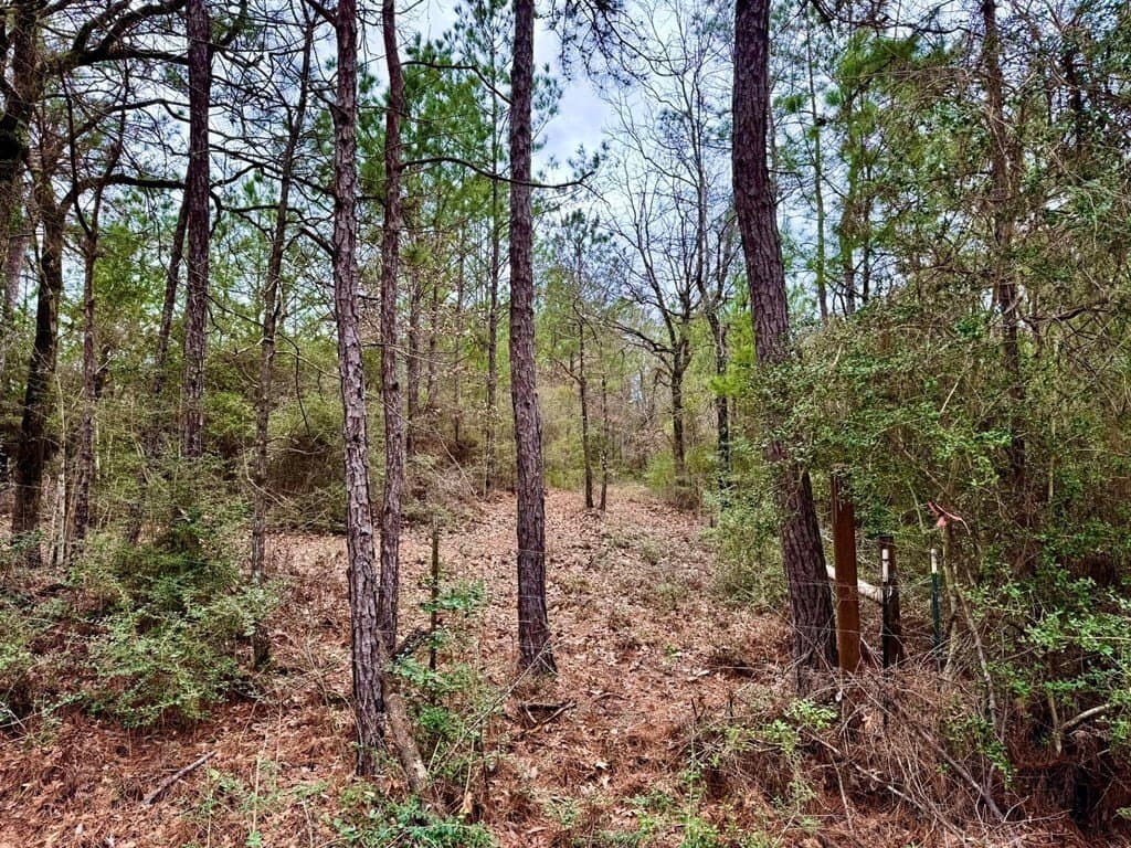 14.96 acres in Texas County - photo 20