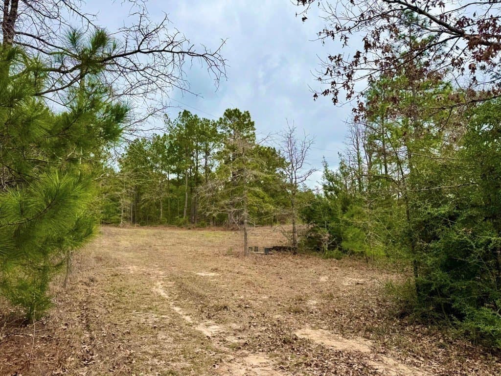 14.96 acres in Texas County - photo 18