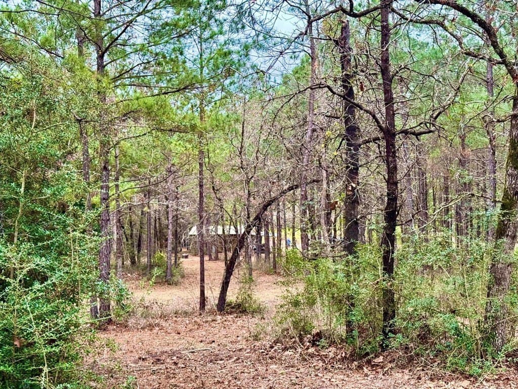 14.96 acres in Texas County - photo 28