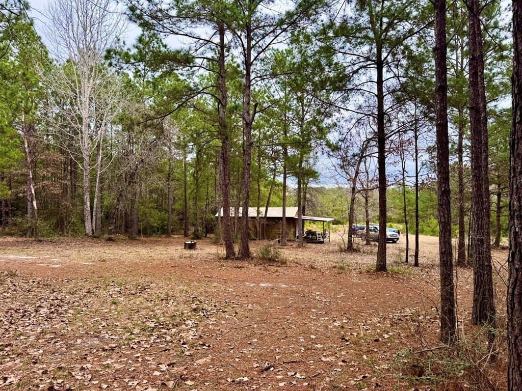 14.96 acres in Texas County - photo 7