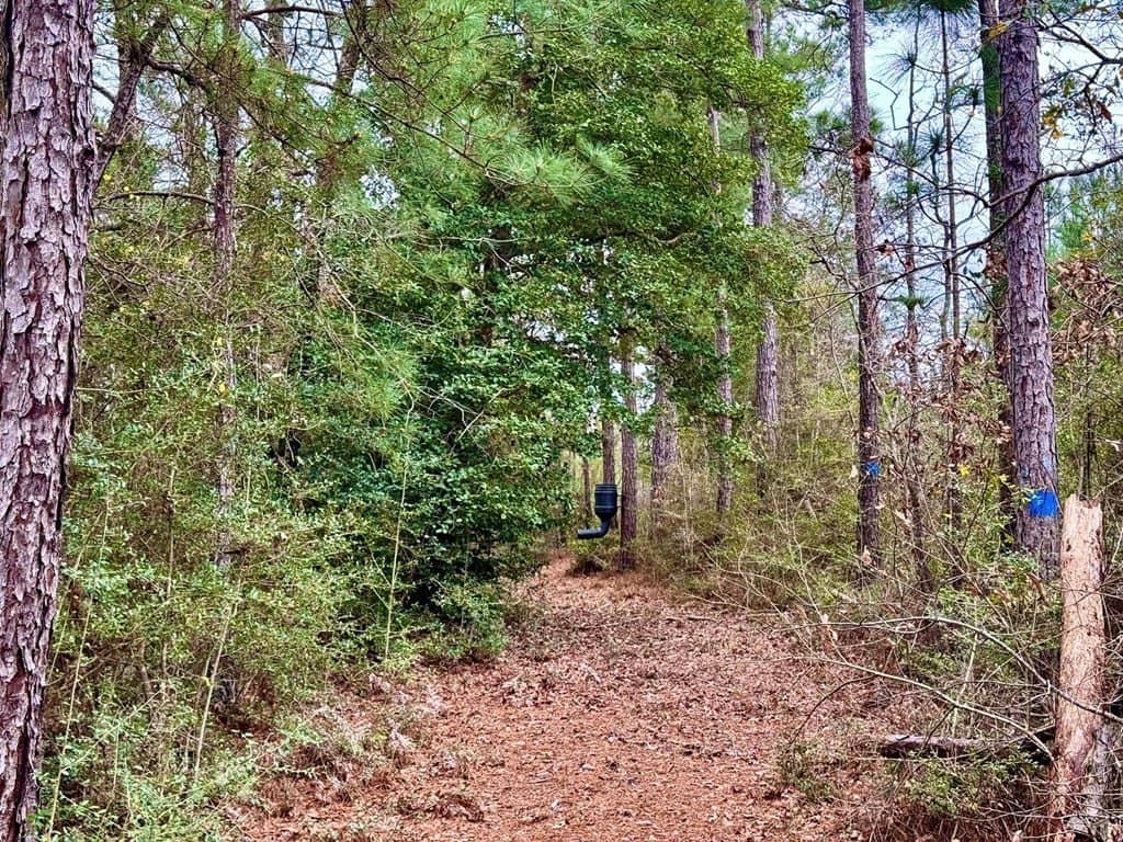 14.96 acres in Texas County - photo 32