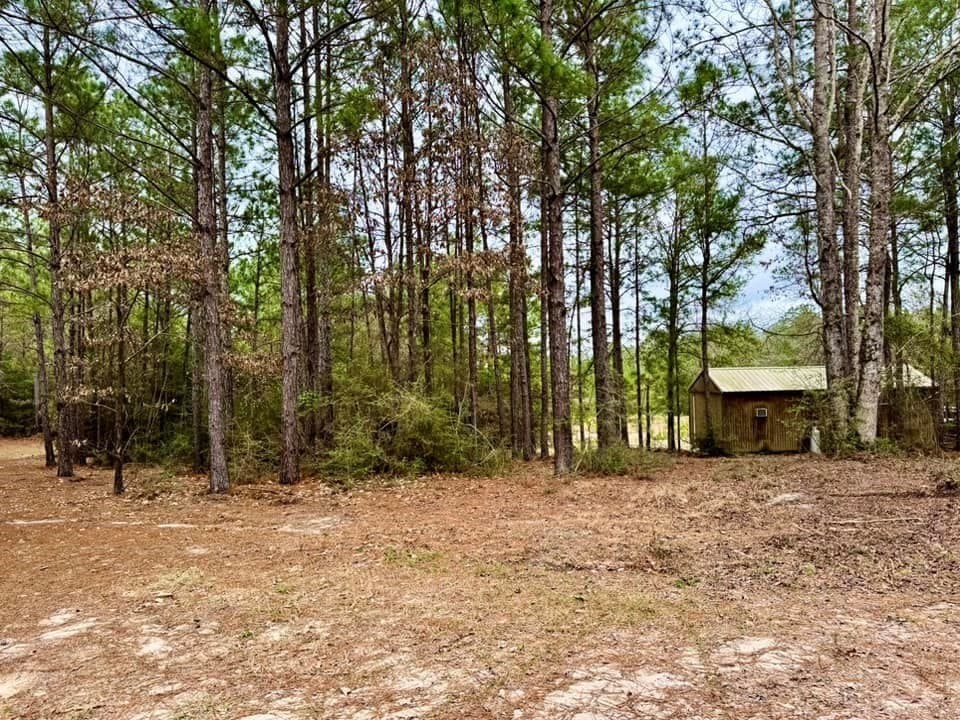 14.96 acres in Texas County - photo 8