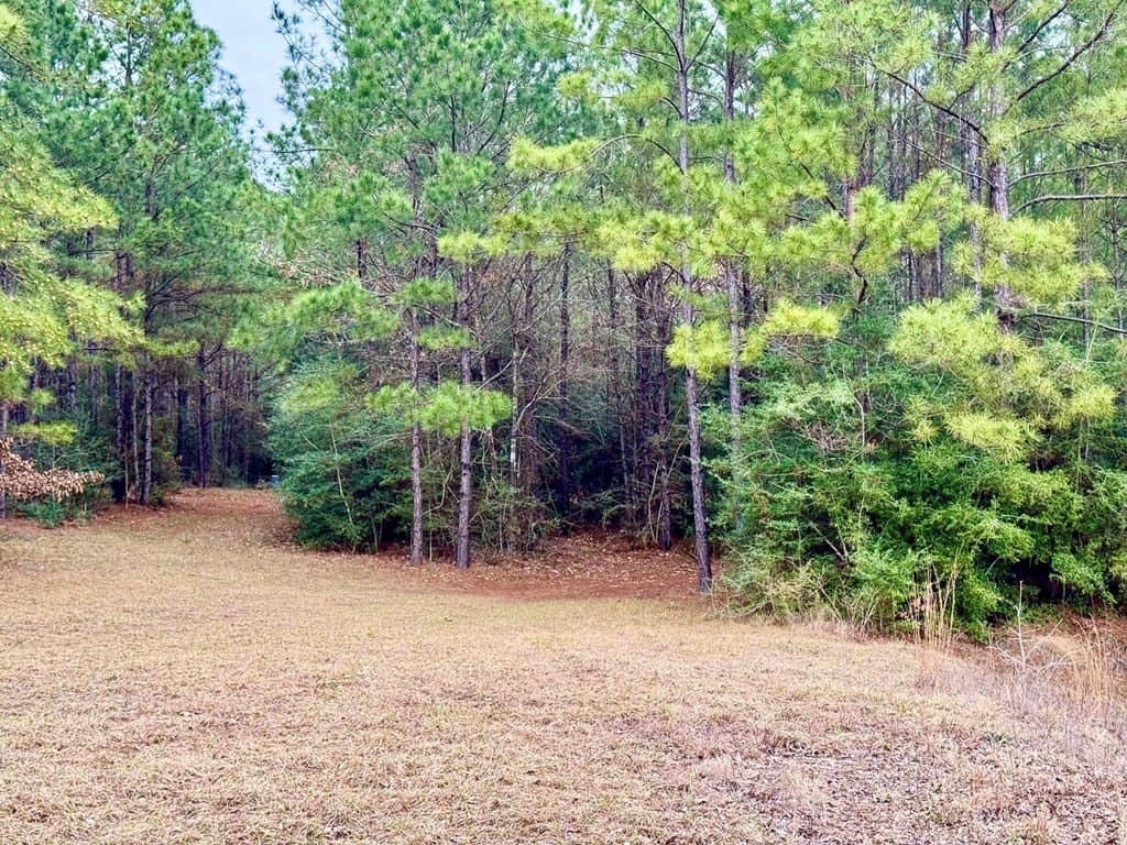 14.96 acres in Texas County - photo 15