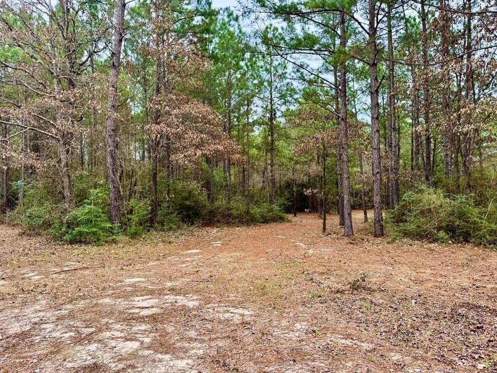14.96 acres in Texas County - photo 40