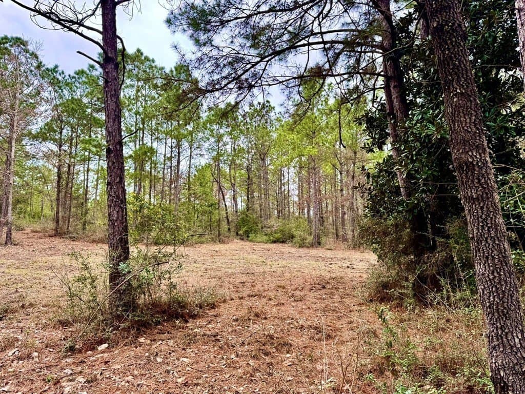 14.96 acres in Texas County - photo 36