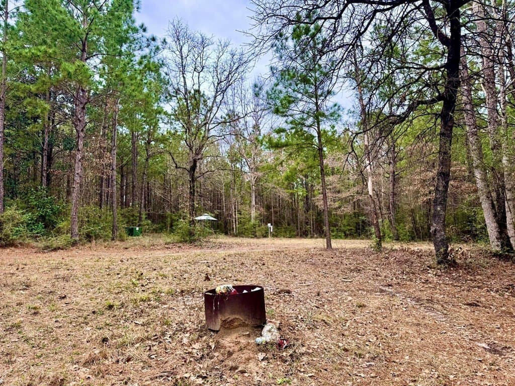 14.96 acres in Texas County - photo 12