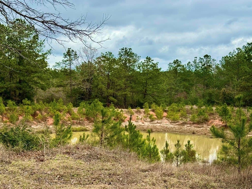 14.96 acres in Texas County - photo 16