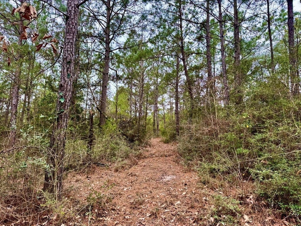 14.96 acres in Texas County - photo 34
