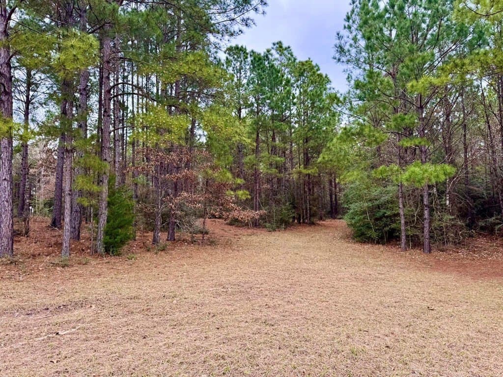 14.96 acres in Texas County - photo 25