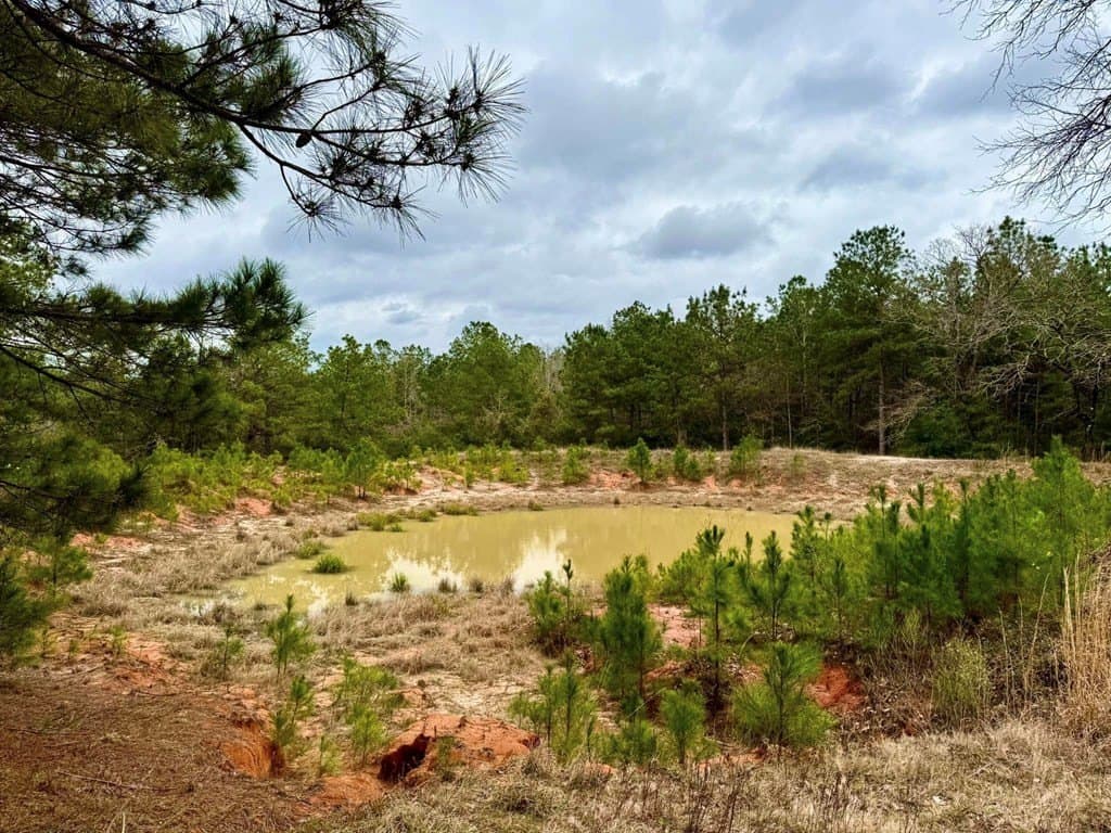 14.96 acres in Texas County - photo 24