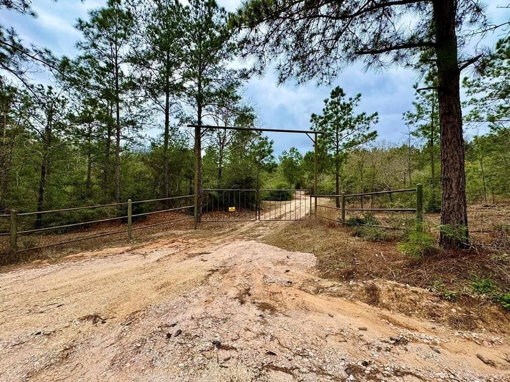 915 County Road 3266