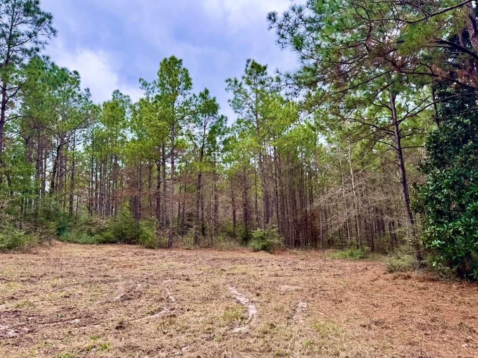 14.96 acres in Texas County - photo 35