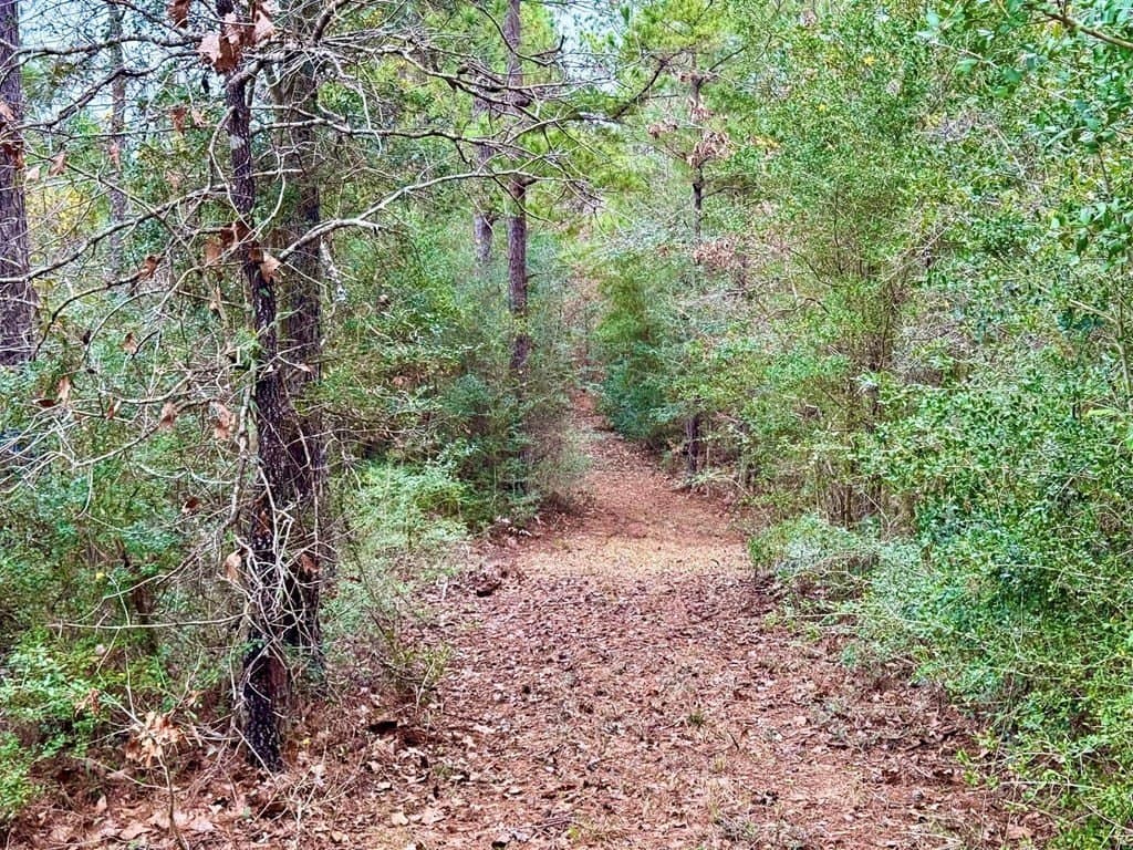 14.96 acres in Texas County - photo 29