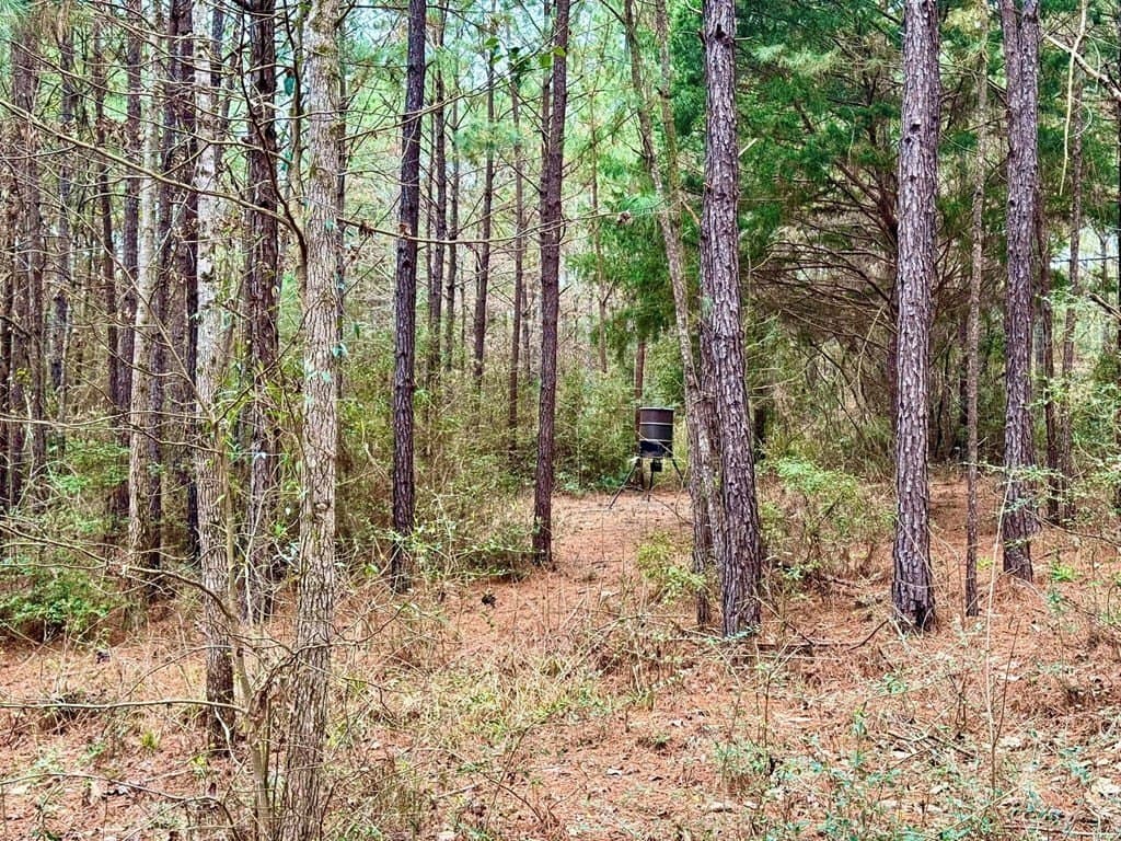 14.96 acres in Texas County - photo 21