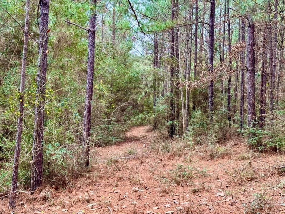 14.96 acres in Texas County - photo 22
