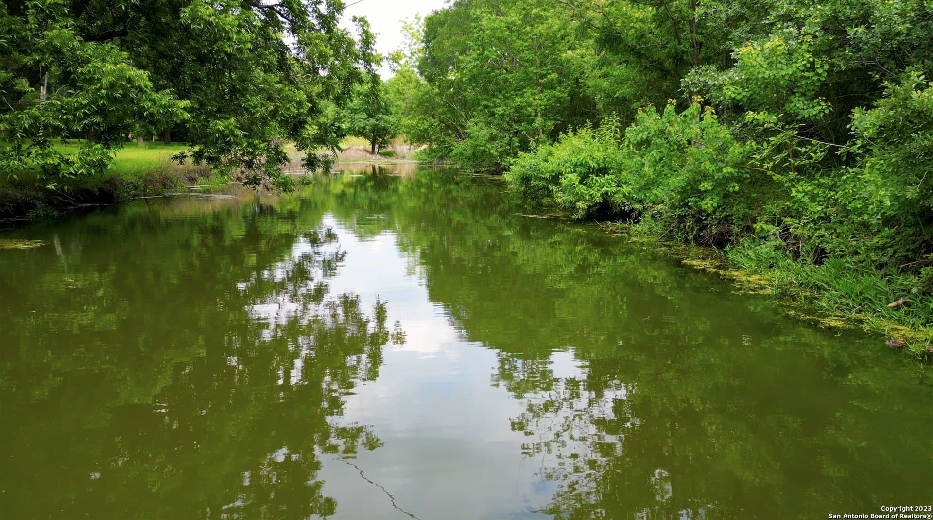 135.6 acres in Comal County - photo 6