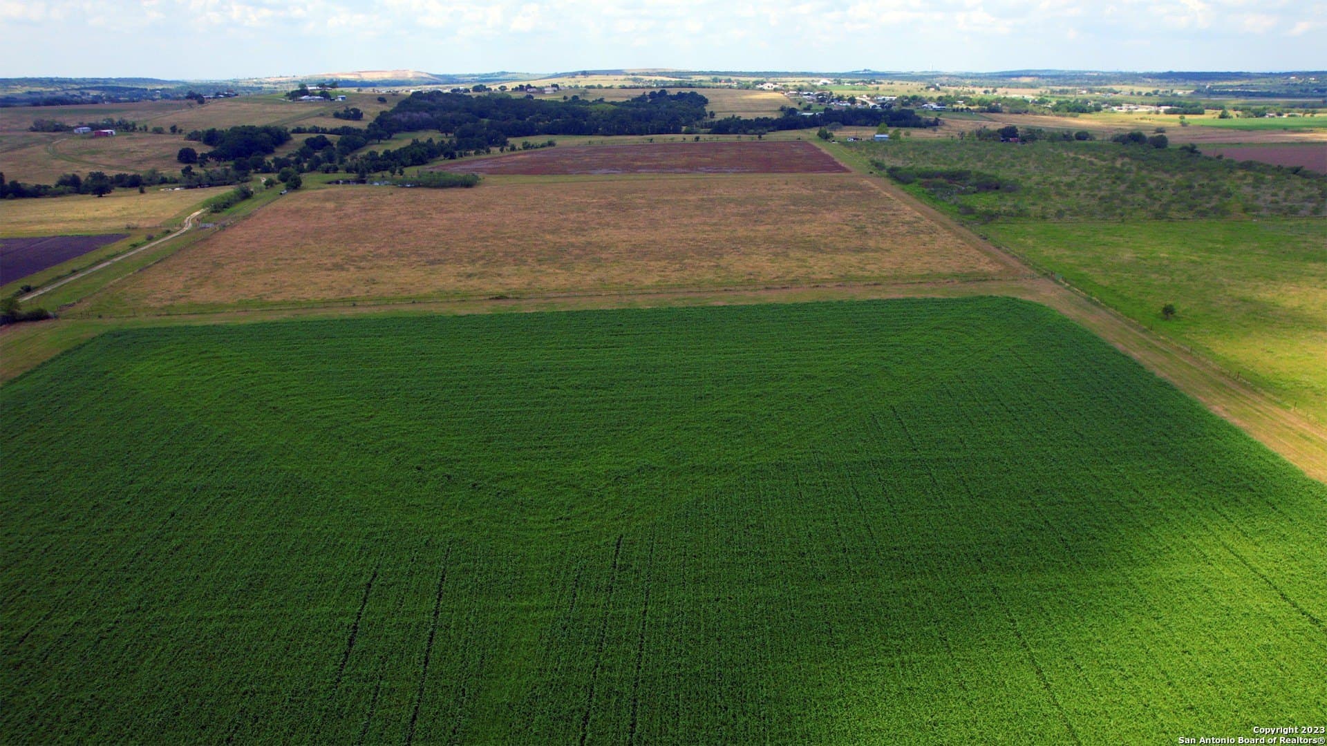 135.6 acres in Comal County - photo 12