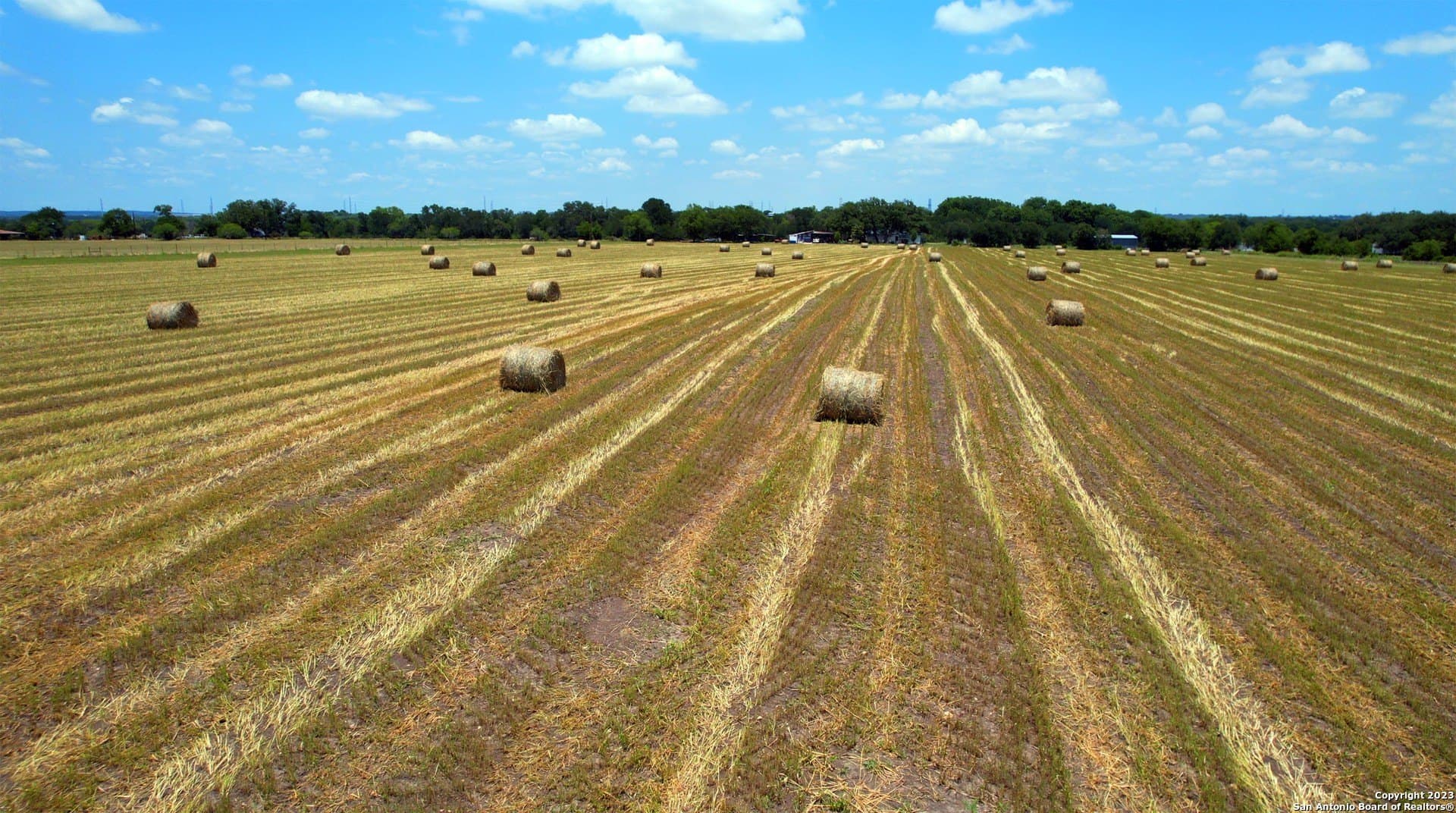 135.6 acres in Comal County - photo 9