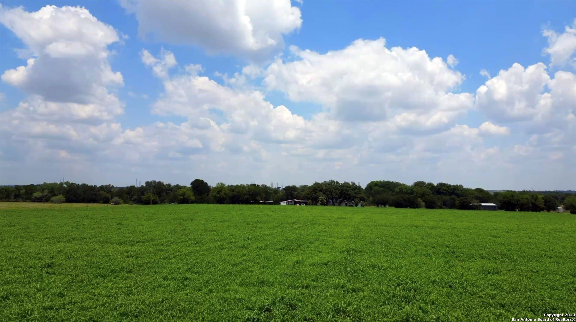 135.6 acres in Comal County - photo 14