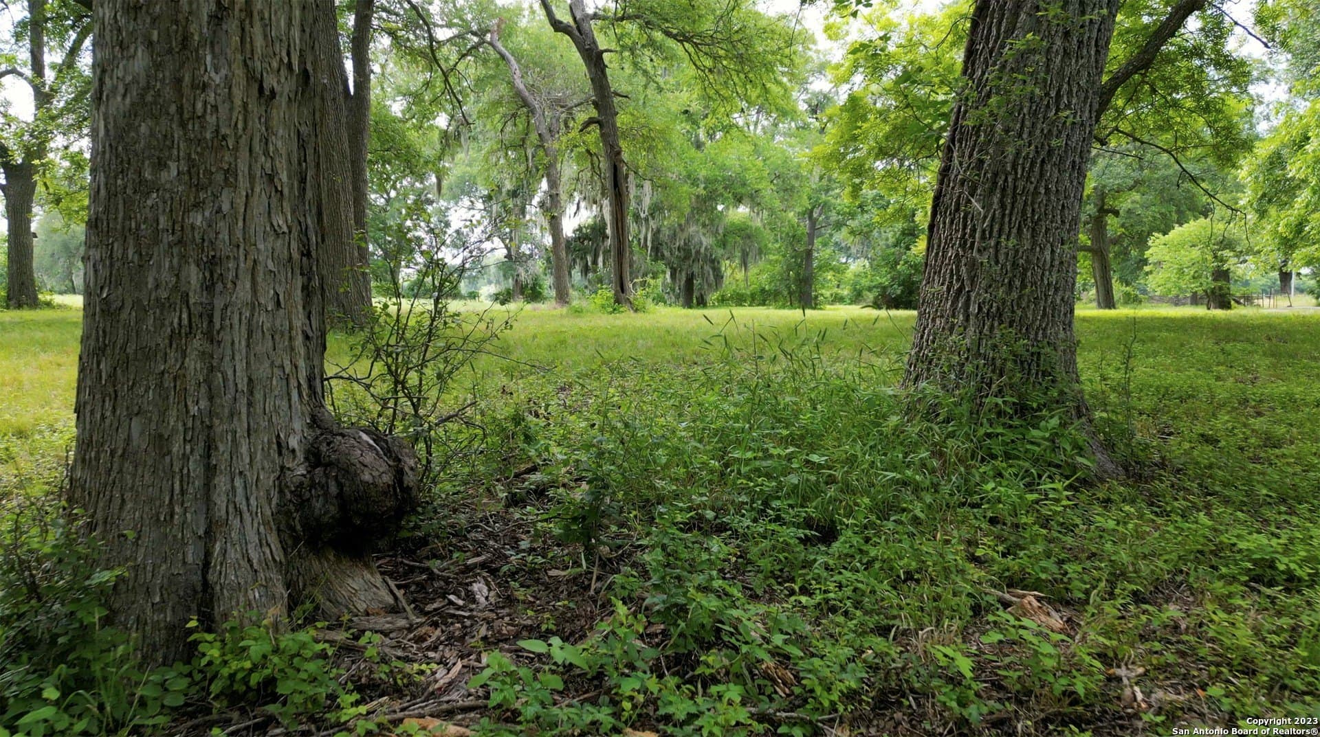 135.6 acres in Comal County - photo 11