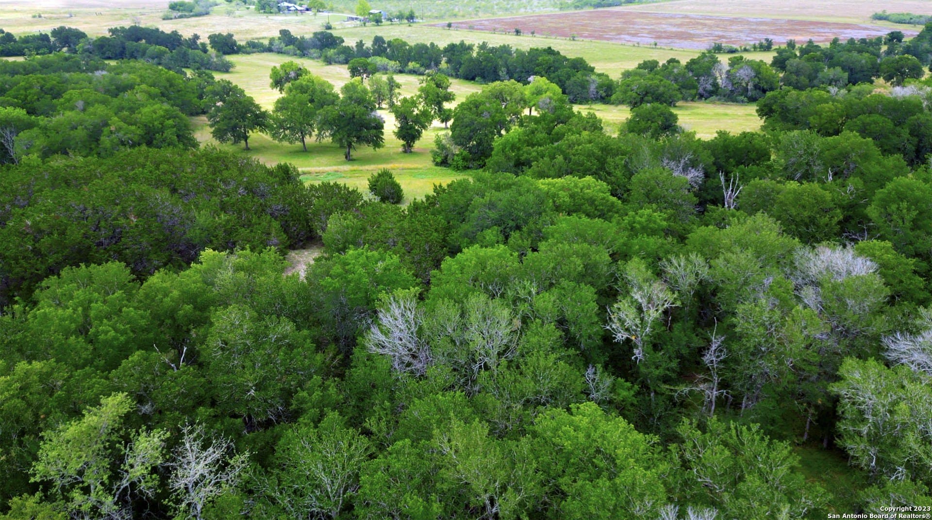 135.6 acres in Comal County - photo 10