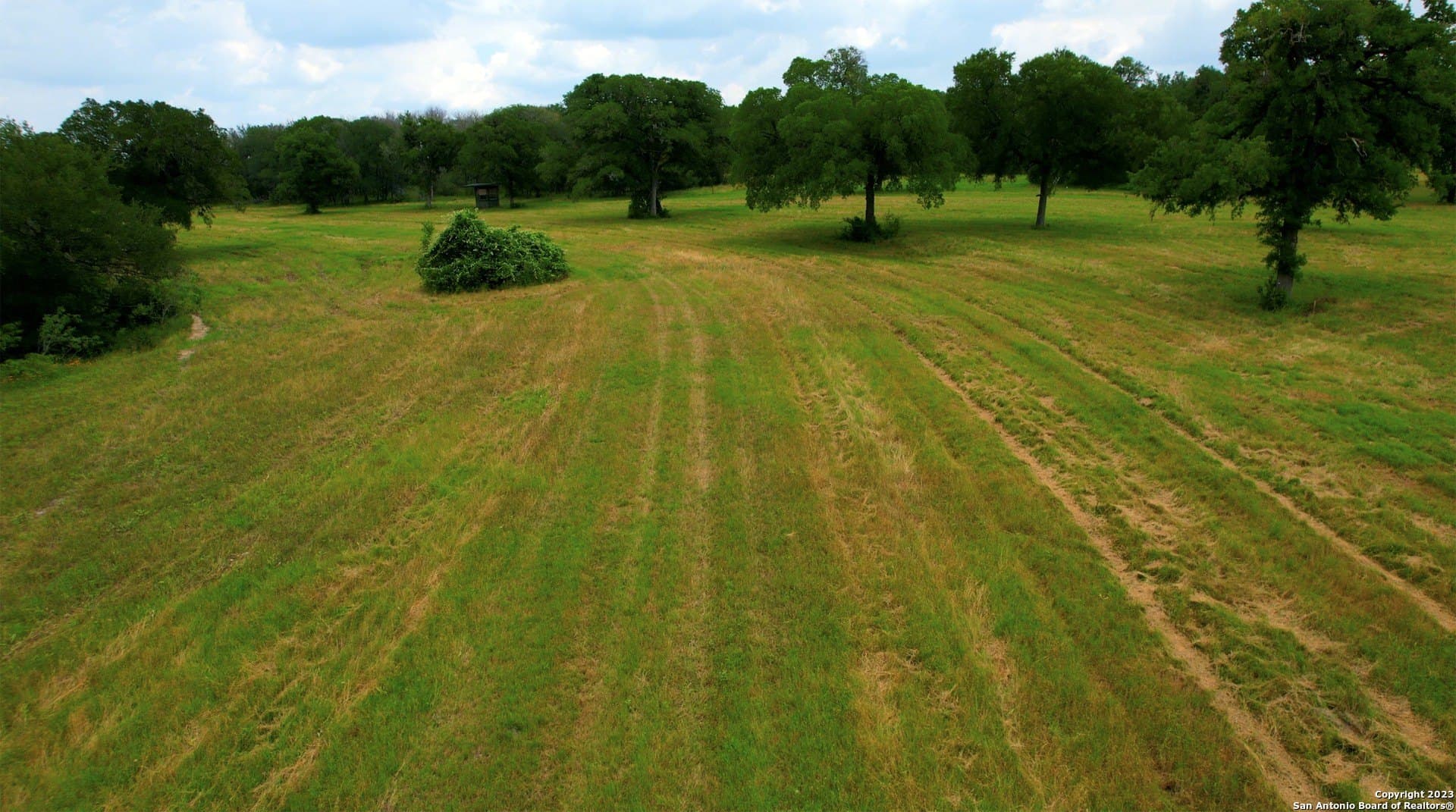 135.6 acres in Comal County - photo 16