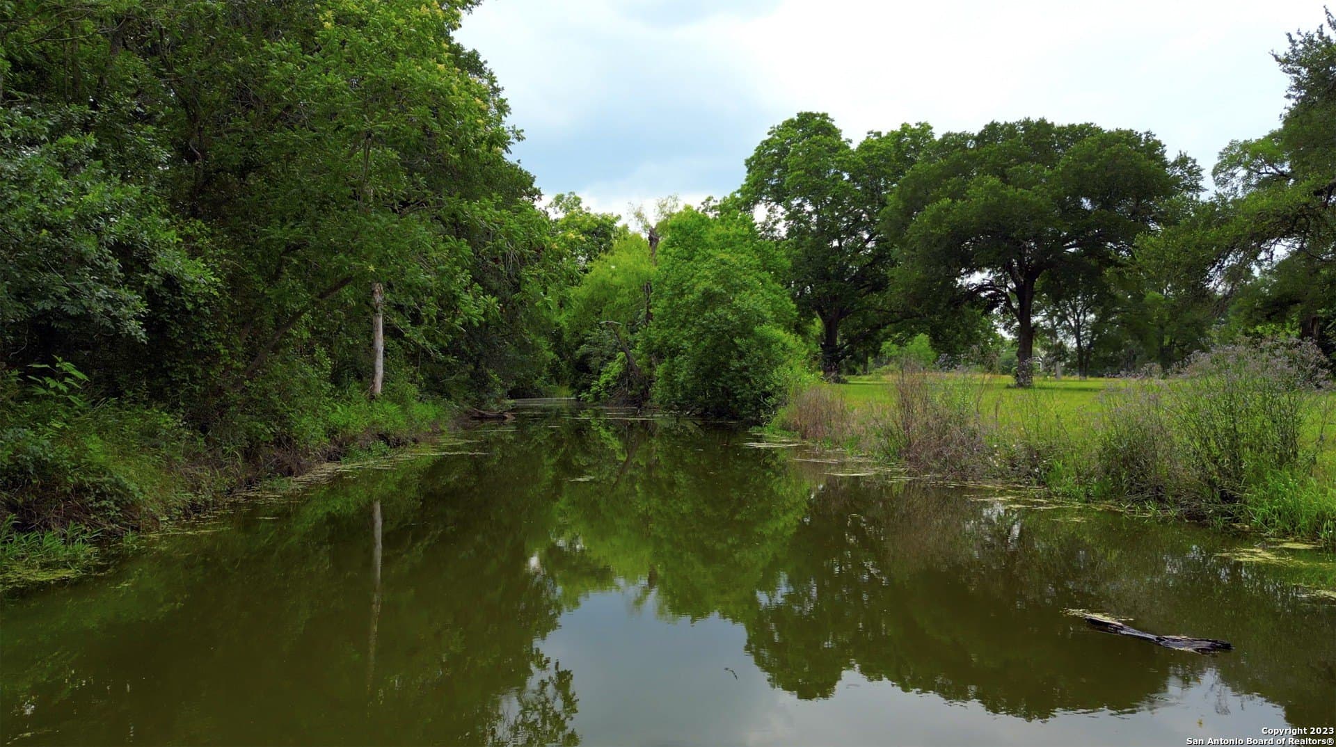 135.6 acres in Comal County - photo 8
