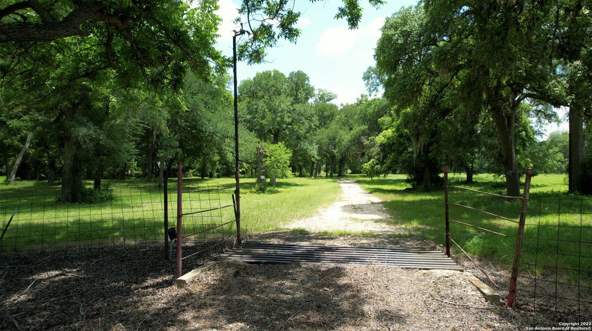 135.6 acres in Comal County - photo 17
