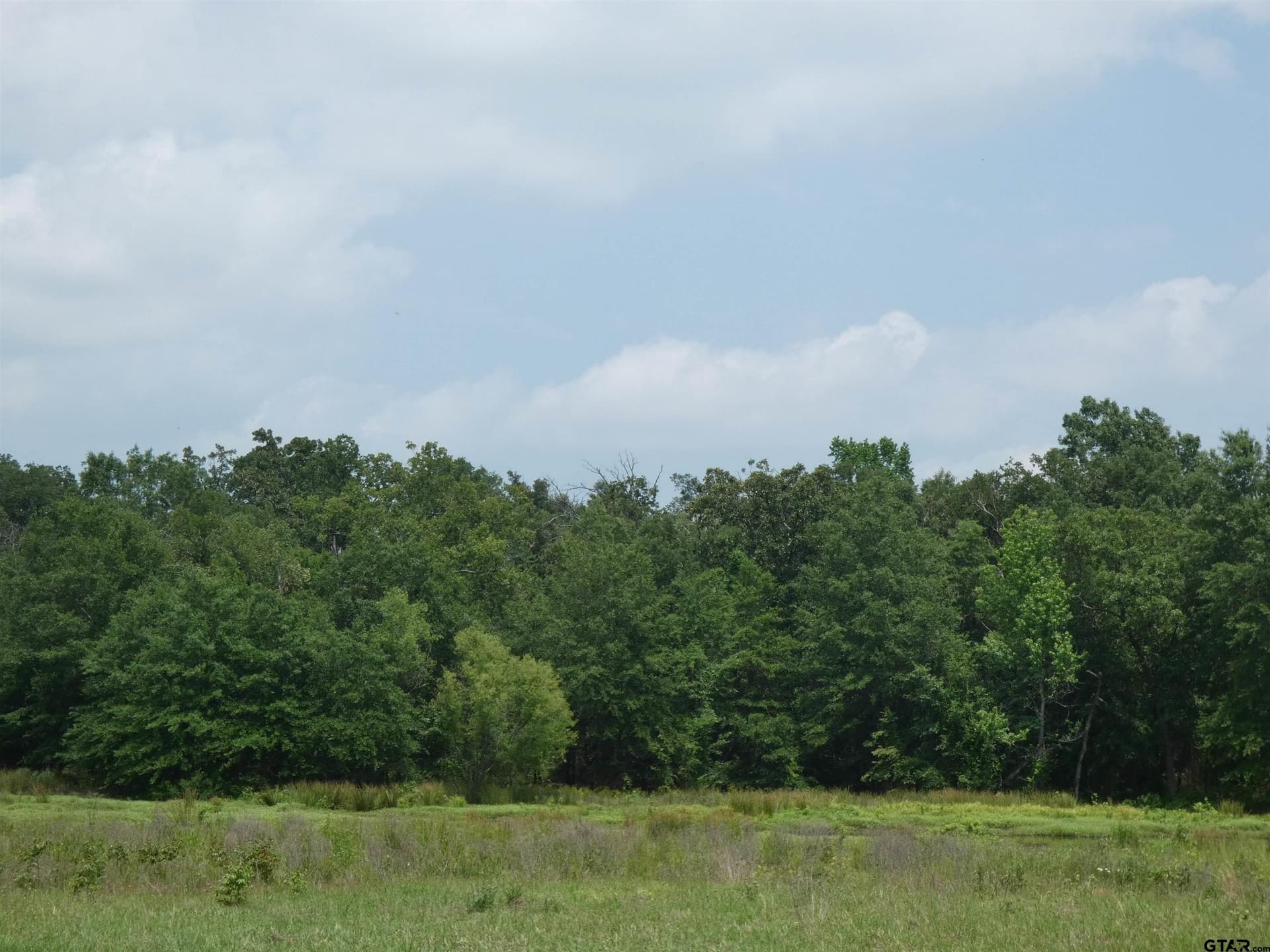 7.48 acres in Titus County - photo 4