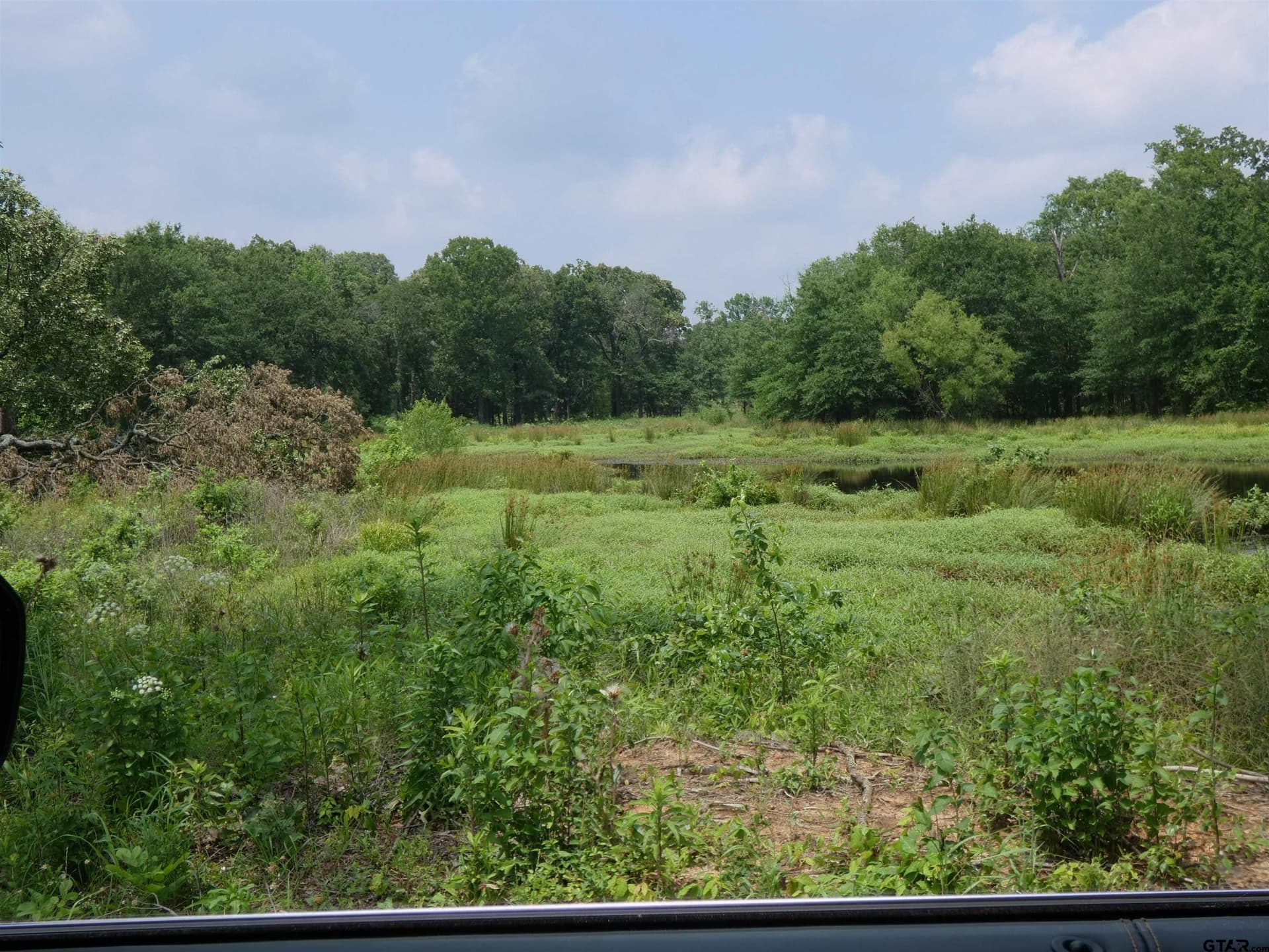 7.48 acres in Titus County - photo 2