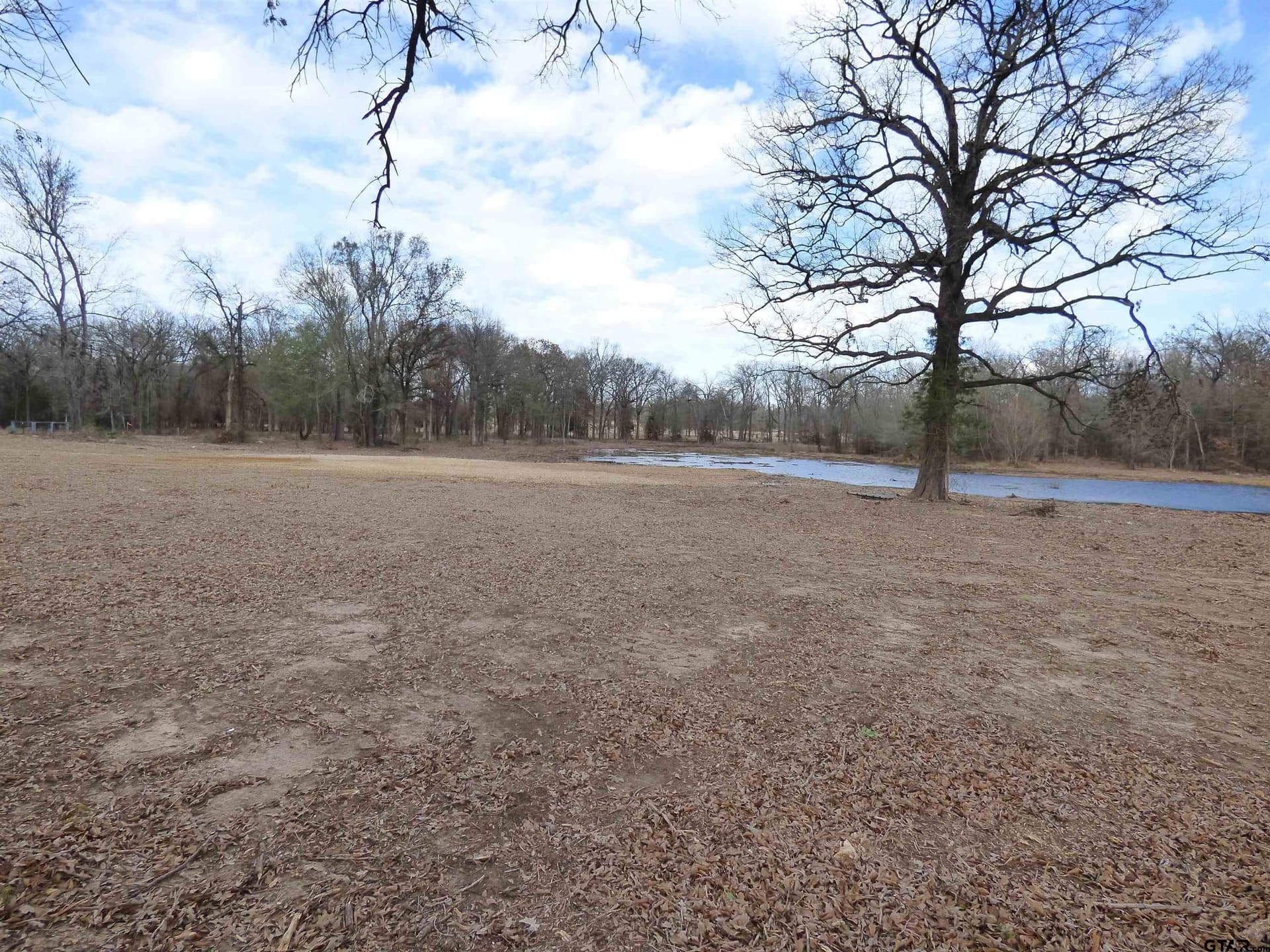 7.48 acres in Titus County - photo 11