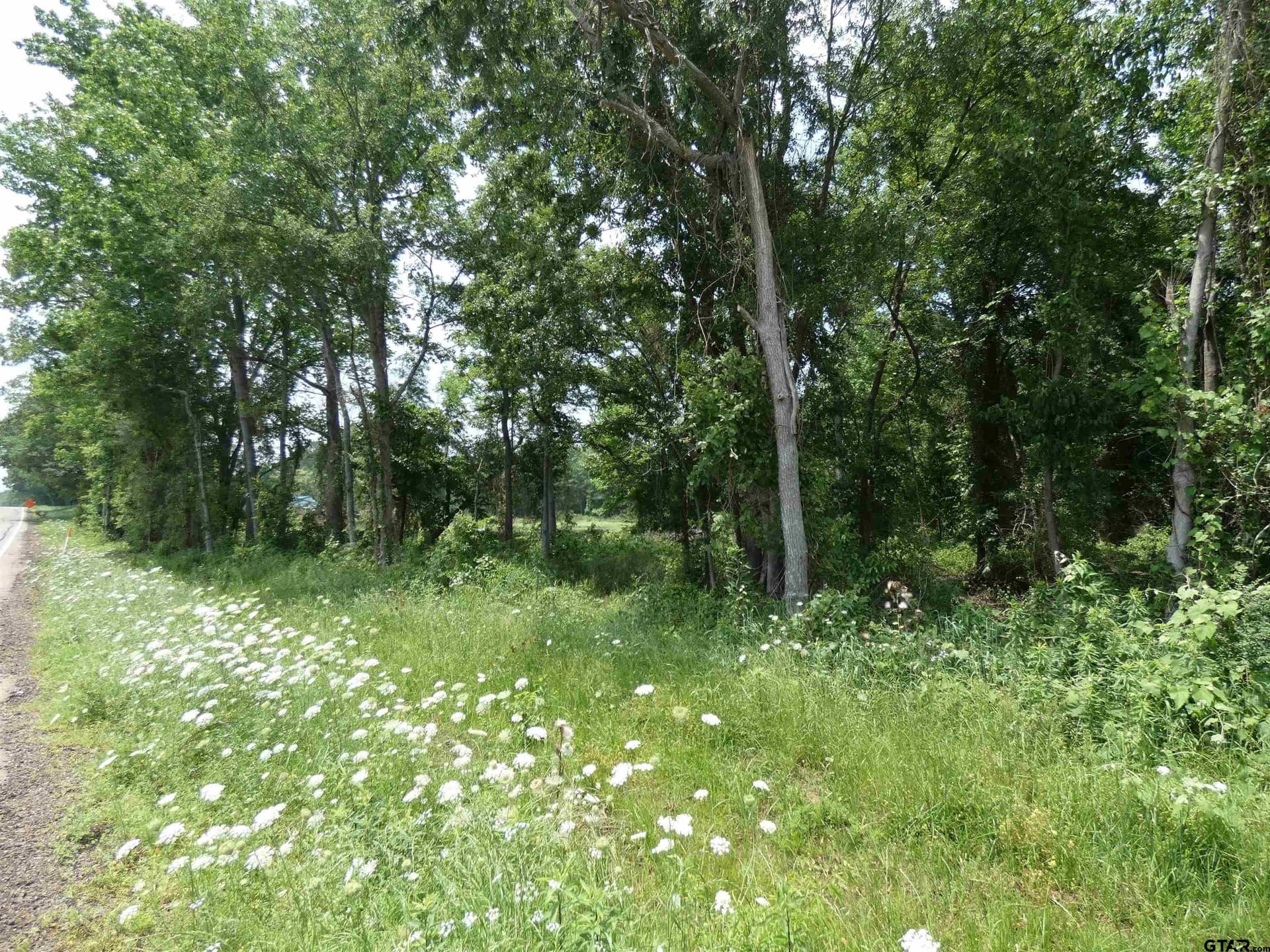 7.48 acres in Titus County - photo 5