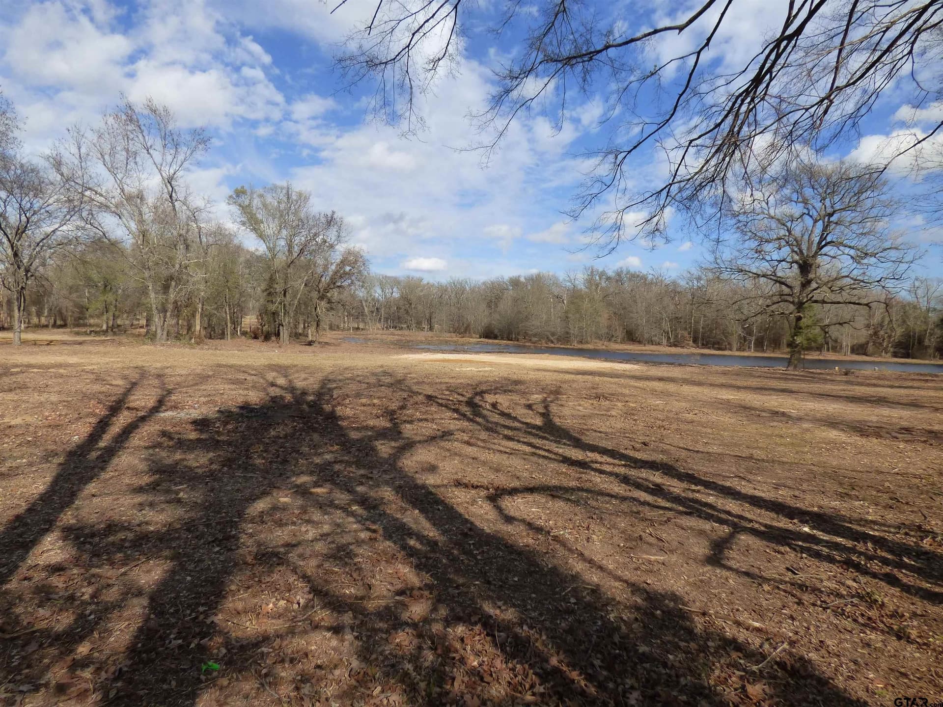 7.48 acres in Titus County - photo 19