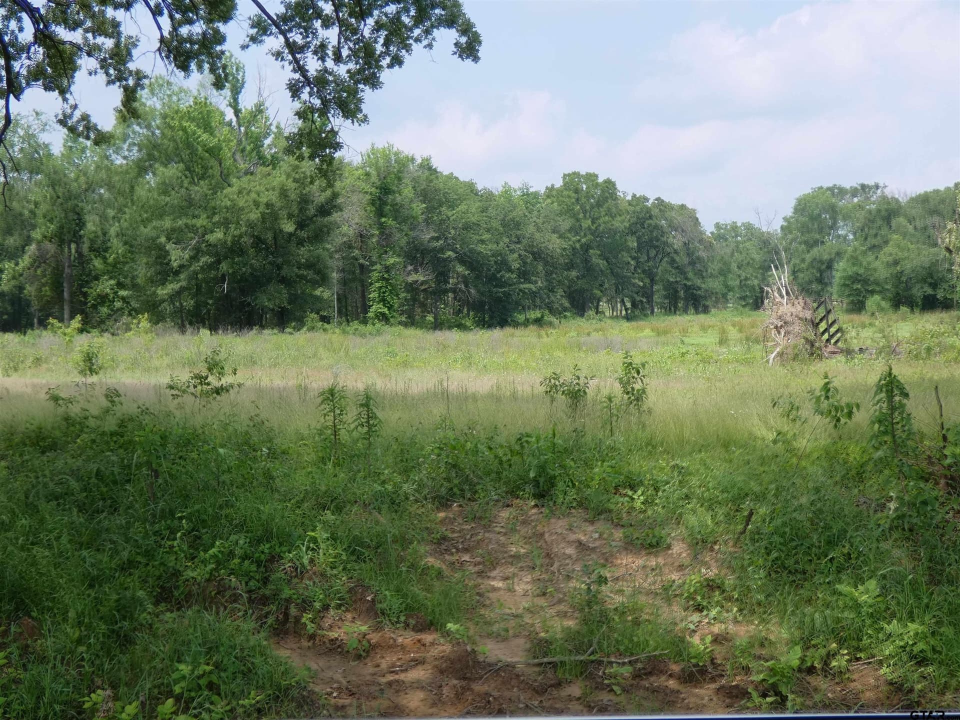 7.48 acres in Titus County - photo 3