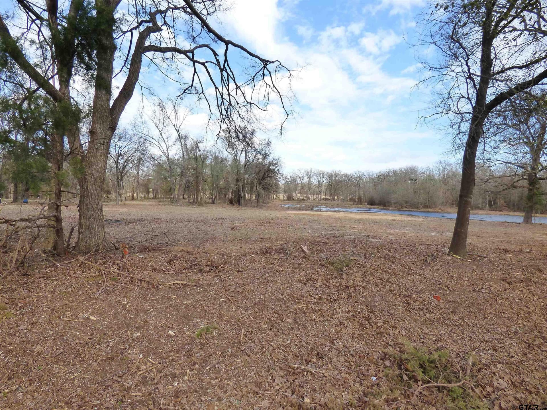 7.48 acres in Titus County - photo 6