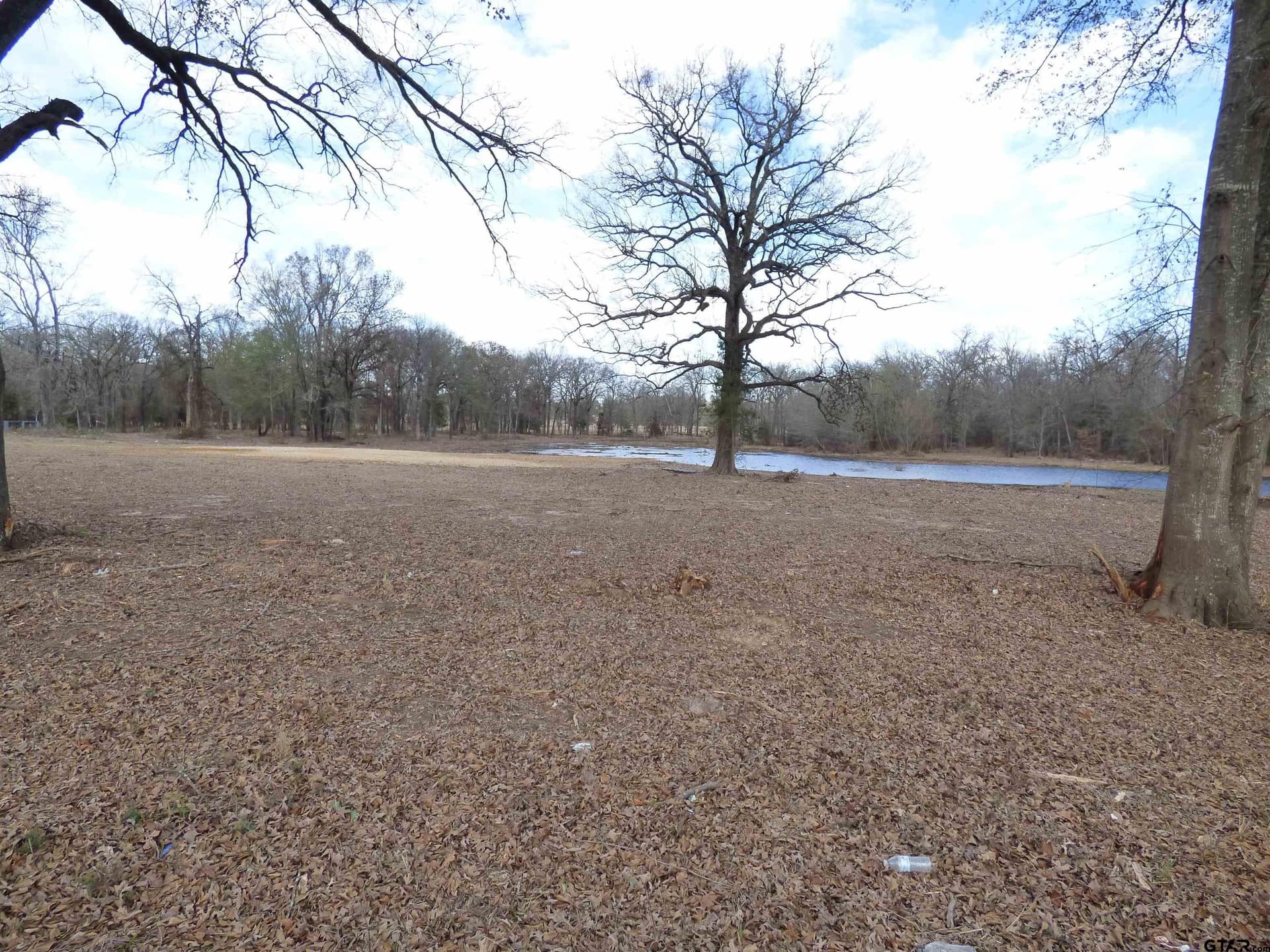 7.48 acres in Titus County - photo 10
